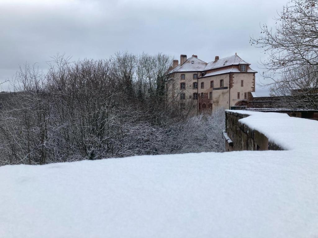 Le Cordonnier Du Staedel Villa La Petite-Pierre Luaran gambar